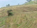 c0098871_1894394.jpg