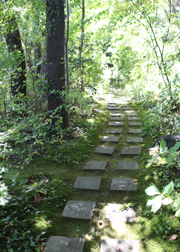 b0086273_16135658.jpg
