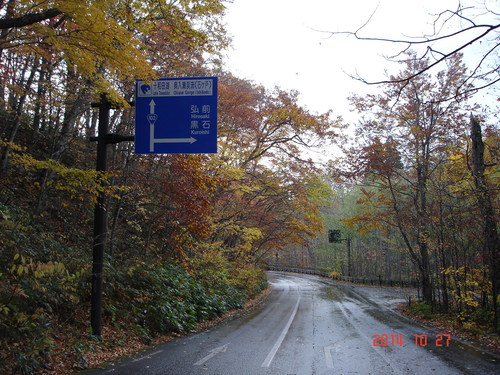 d0165378_10365116.jpg
