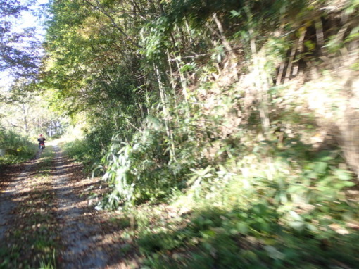 a0279883_03105841.jpg
