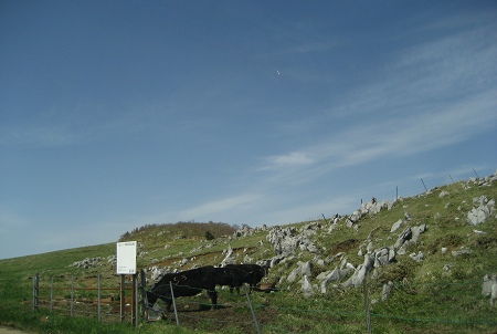 c0229483_9253899.jpg