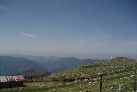 c0229483_9273892.jpg