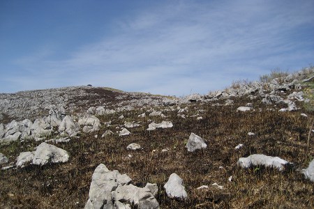 c0229483_9281835.jpg