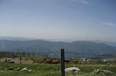 c0229483_9293396.jpg