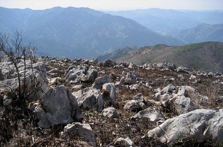 c0229483_930135.jpg