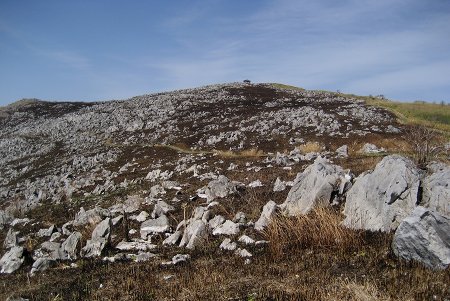 c0229483_930544.jpg