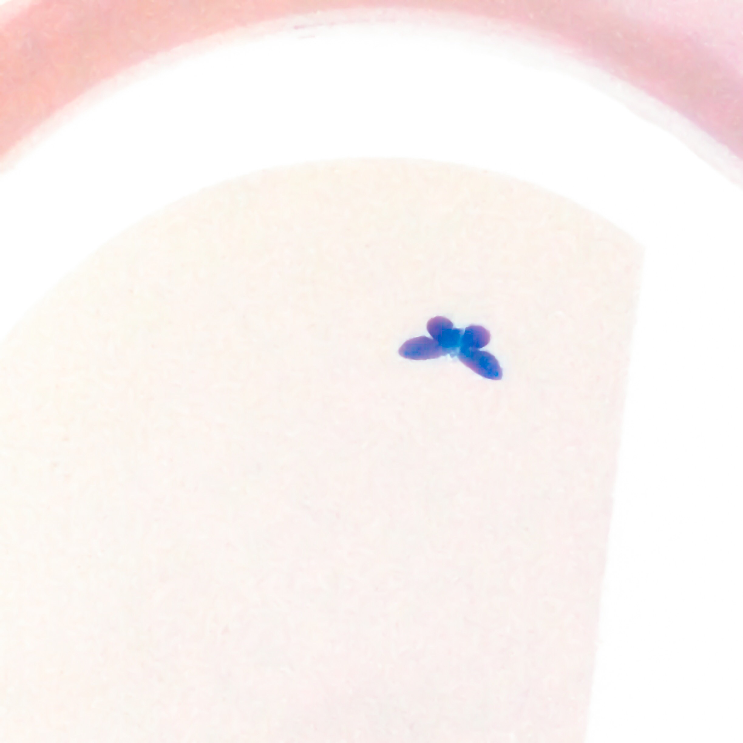 f0238991_1445958.jpg