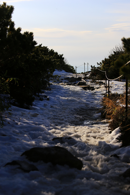 f0001895_18335155.jpg