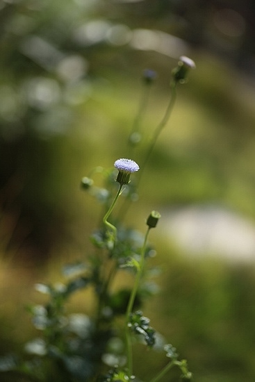 e0209997_14315019.jpg