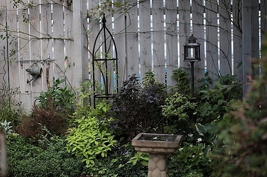 e0209997_2235936.jpg