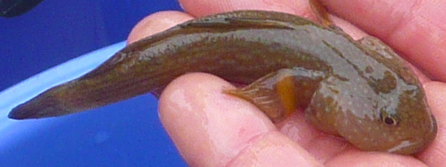 c0024502_2347042.jpg