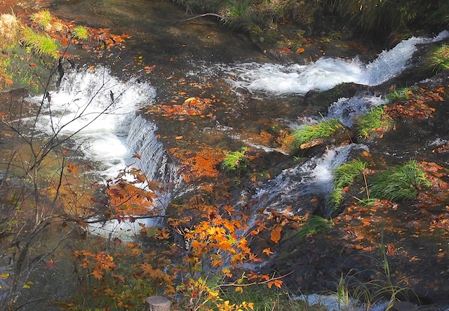 c0248013_11153299.jpg