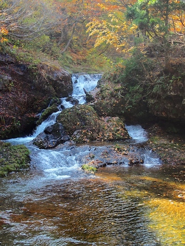 c0248013_11173029.jpg