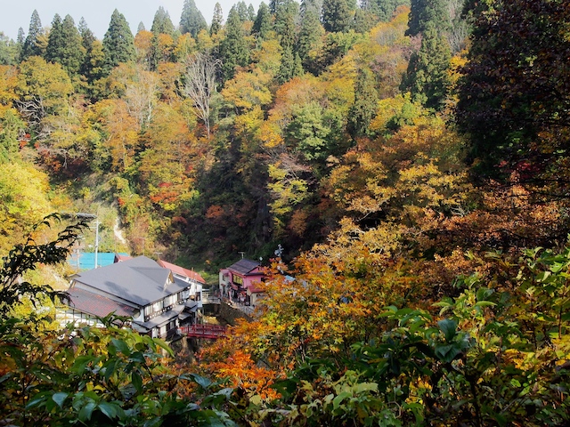 c0248013_1155890.jpg