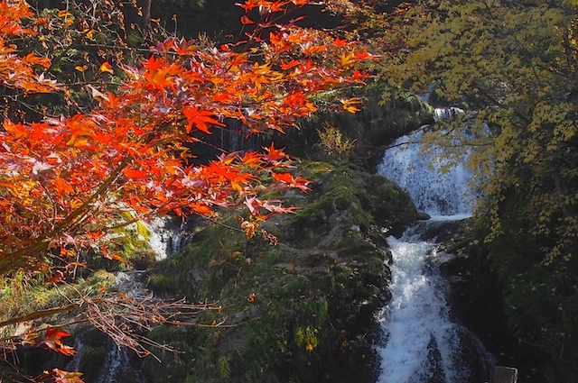 c0248013_1193145.jpg