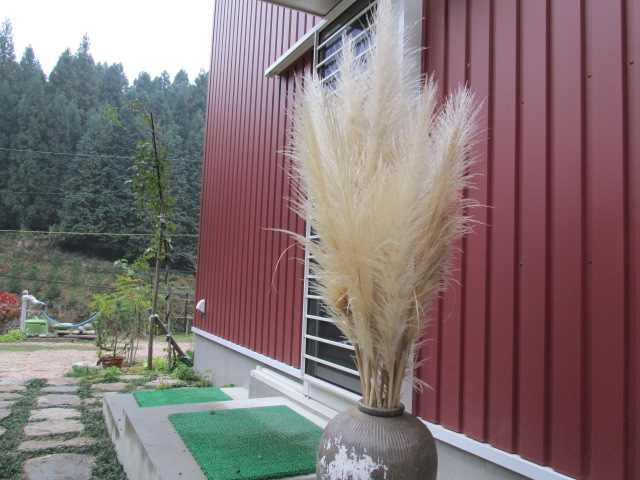 f0341616_07413525.jpg