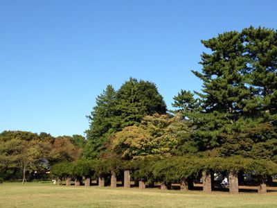d0165420_23452919.jpg