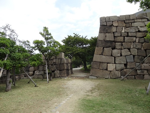 f0000521_17484202.jpg