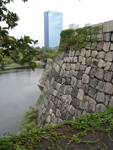 f0000521_17490108.jpg