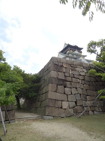 f0000521_17495541.jpg