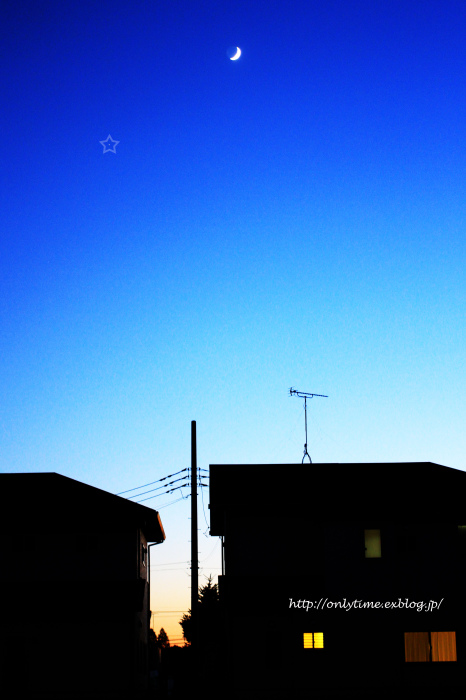 b0181125_17383522.jpg