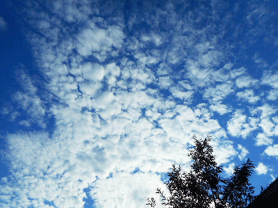 c0146127_18341166.gif