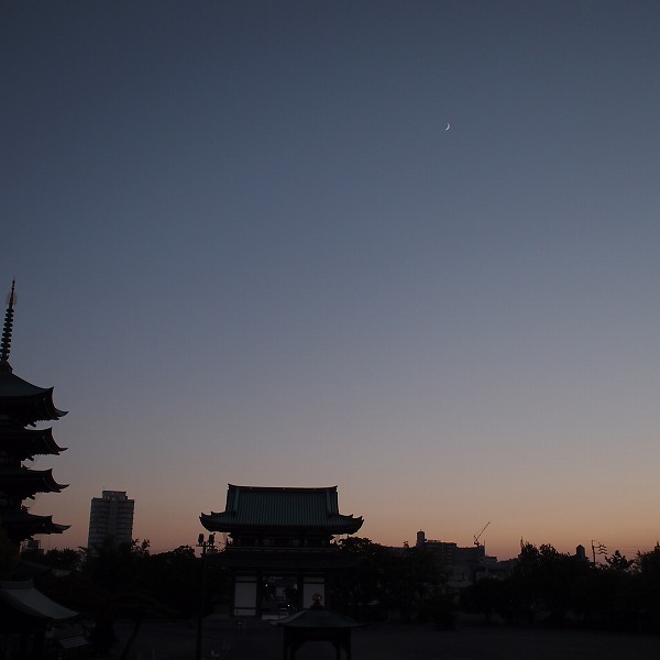 a0148431_21380441.jpg