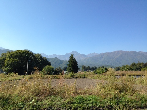 a0305533_936181.jpg