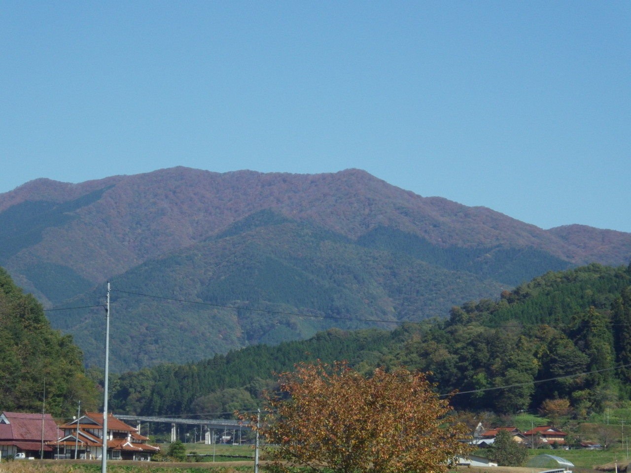 c0300035_12254759.jpg