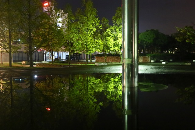 a0242438_20263924.jpg