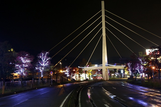 a0242438_20283265.jpg