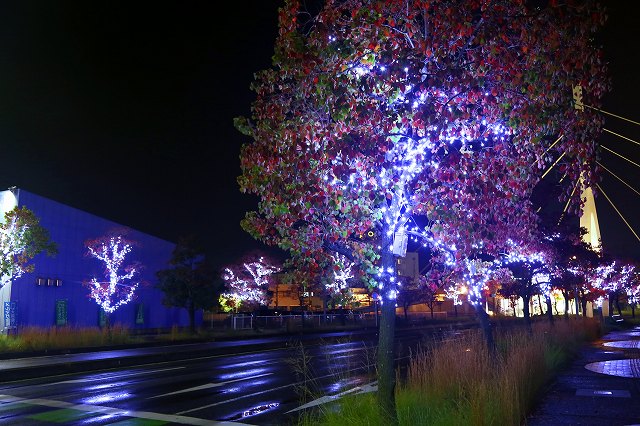 a0242438_20285721.jpg