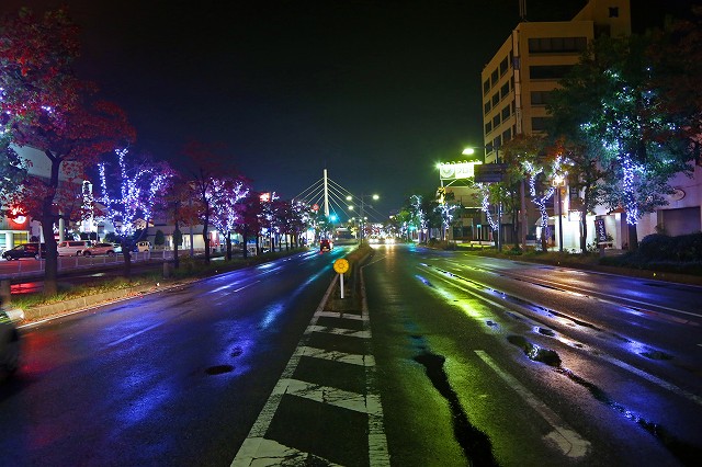 a0242438_20311573.jpg