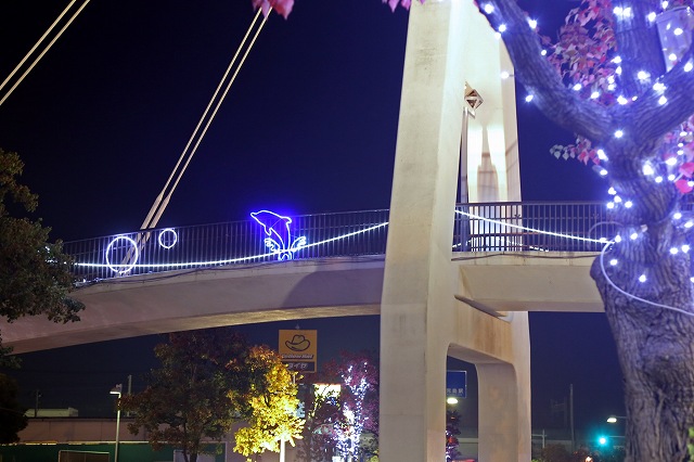 a0242438_20313493.jpg