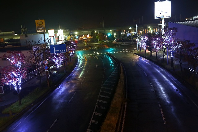 a0242438_20315889.jpg