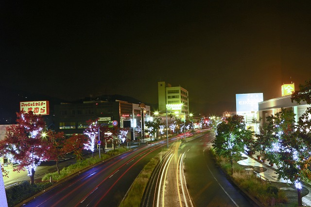 a0242438_20321662.jpg