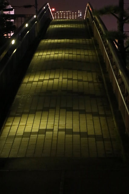 a0242438_20324062.jpg