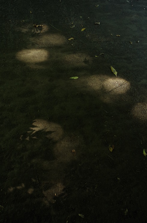 d0165741_17193634.jpg