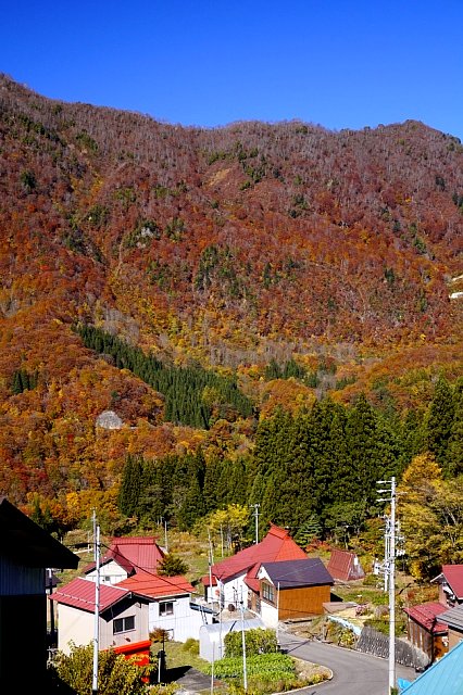 b0122448_07361823.jpg
