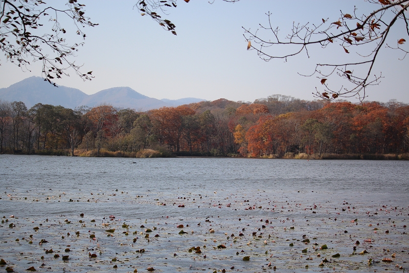 b0250154_22513792.jpg