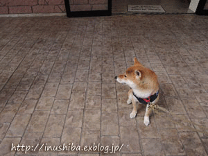 a0286855_1158138.gif