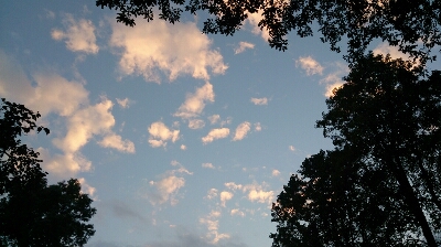 b0178557_22265580.jpg