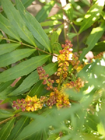 b0246758_13151414.jpg