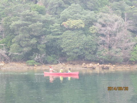 d0029363_10103541.jpg