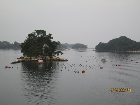d0029363_114503.jpg