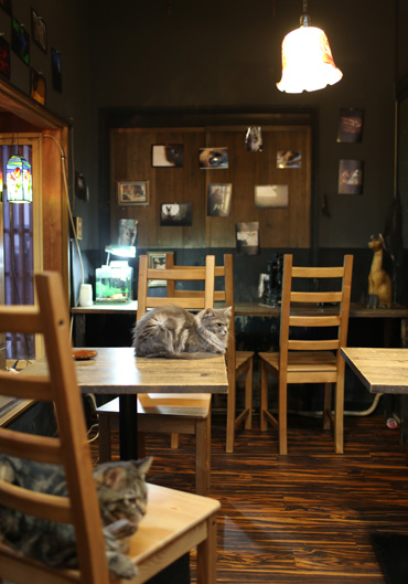 b0086273_16441373.jpg