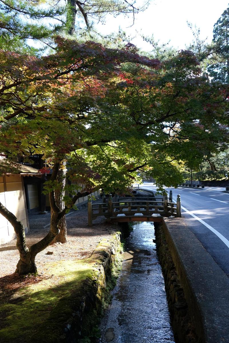 c0177576_11282086.jpg