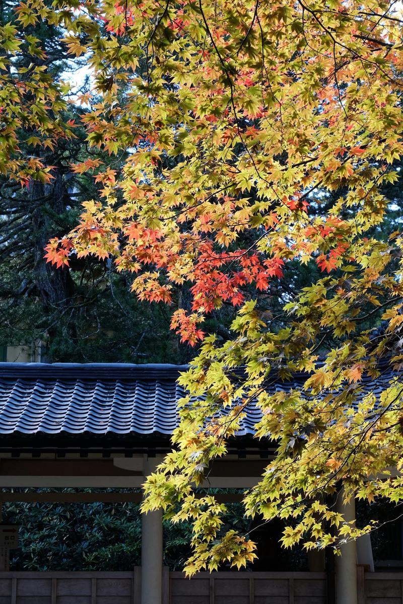 c0177576_1135529.jpg