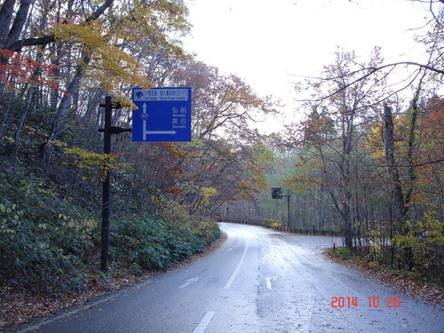 d0165378_9513948.jpg