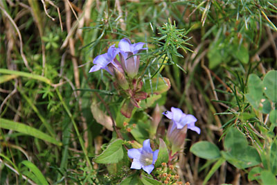 c0152779_13131.jpg